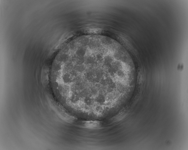 X0000110710363200907101250