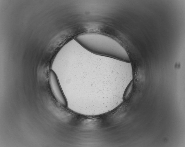 X0000110710364200907101250