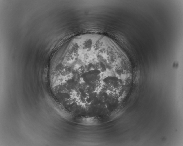 X0000110710365200907101250