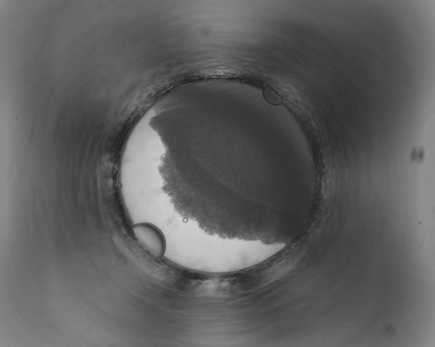 X0000110710366200907101250