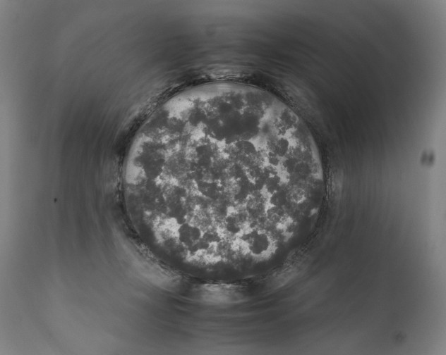 X0000110710367200907101250