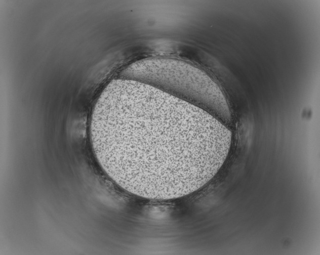 X0000110710368200907101250