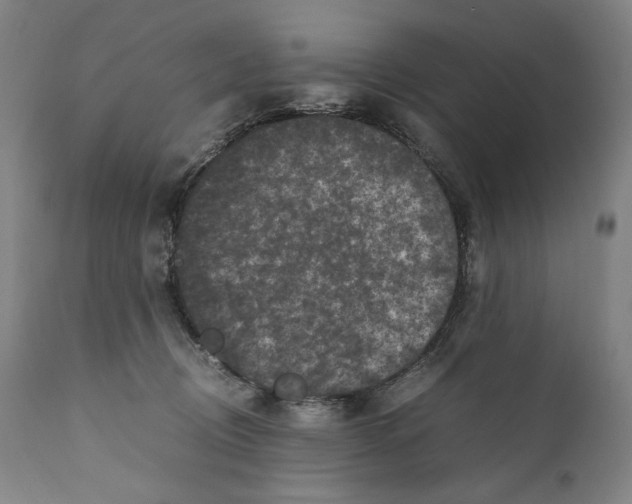X0000110710370200907101250
