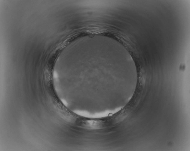 X0000110710371200907101250