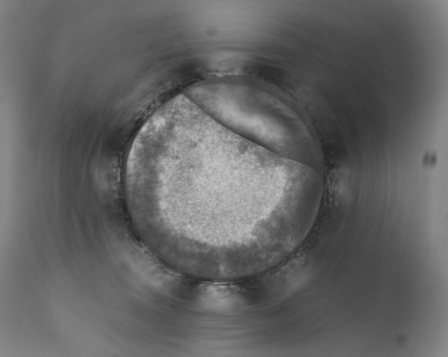 X0000110710372200907101250