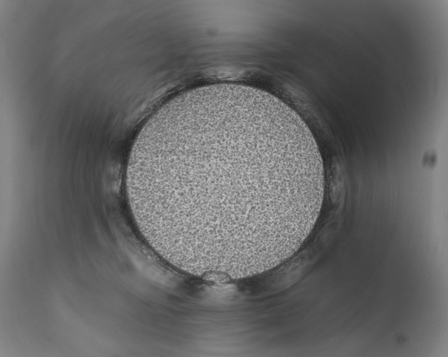 X0000110710374200907101250