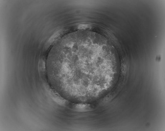 X0000110710375200907101250