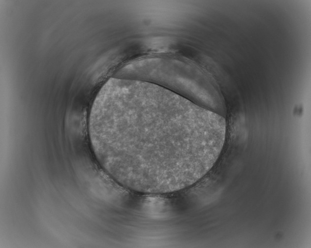 X0000110710376200907101250