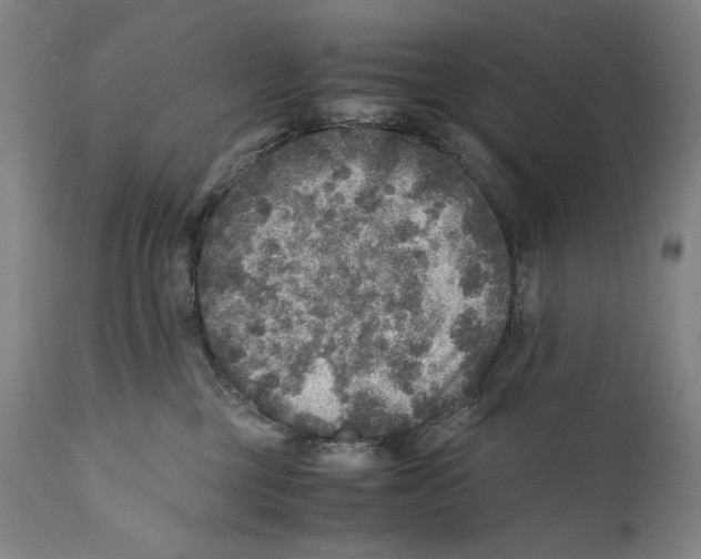 X0000110710377200907101250