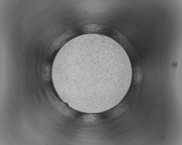 X0000110710378200907101250