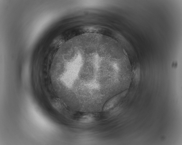 X0000110710381200907101250