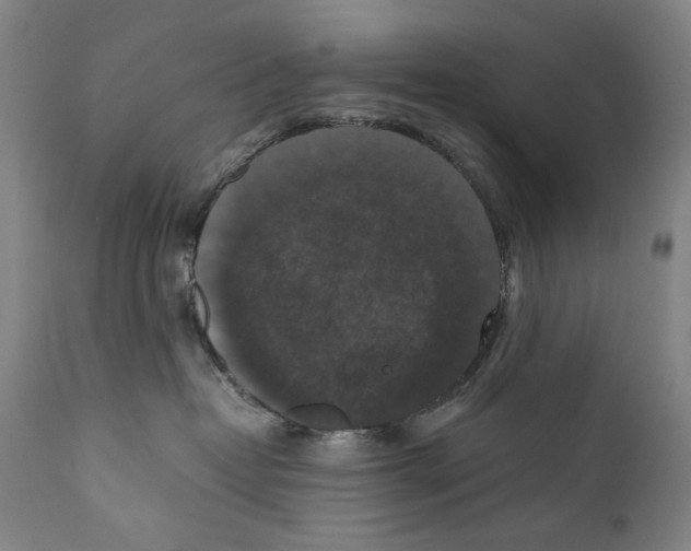 X0000110710382200907101250