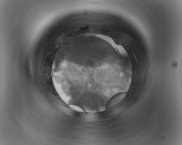 X0000110710383200907101250