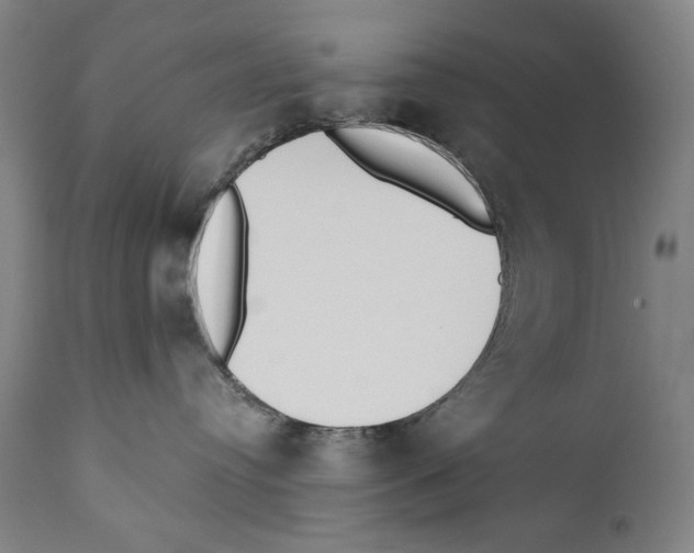 X0000110710384200907101250