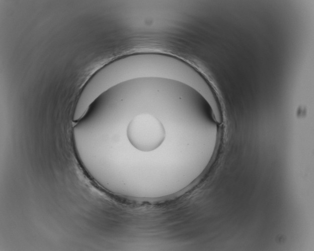 X0000110710385200907101249