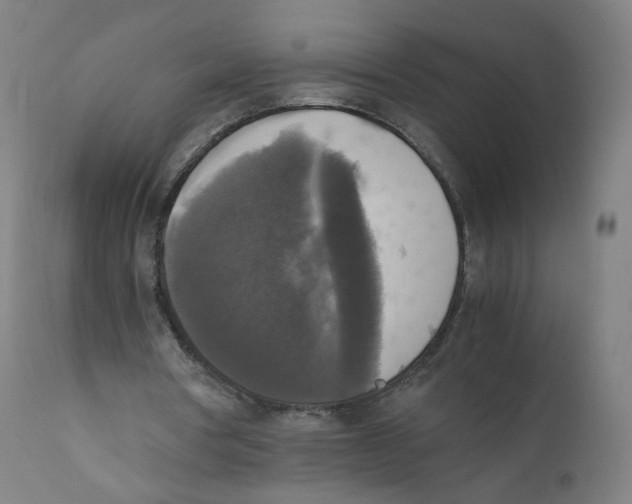 X0000110710386200907101249