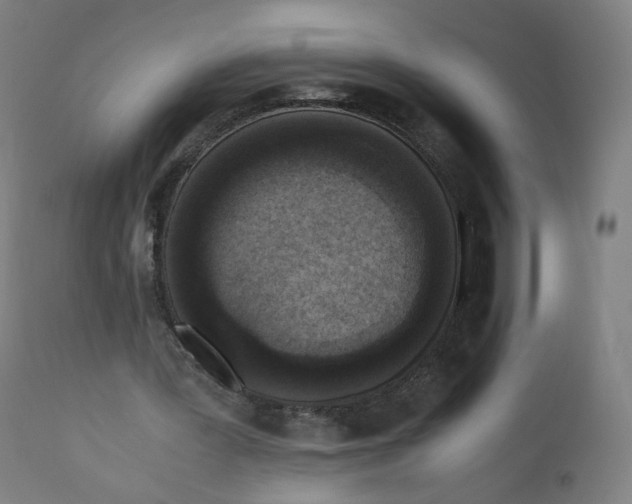X0000110710387200907101249
