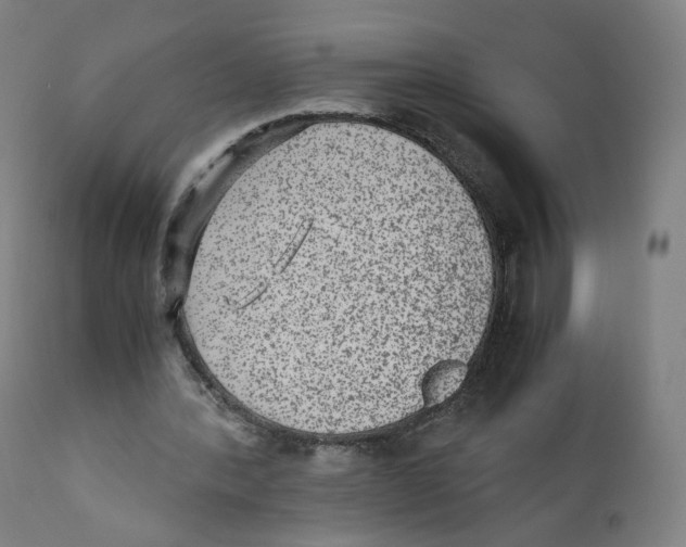X0000110710388200907101249