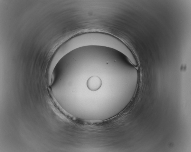 X0000110710389200907101249