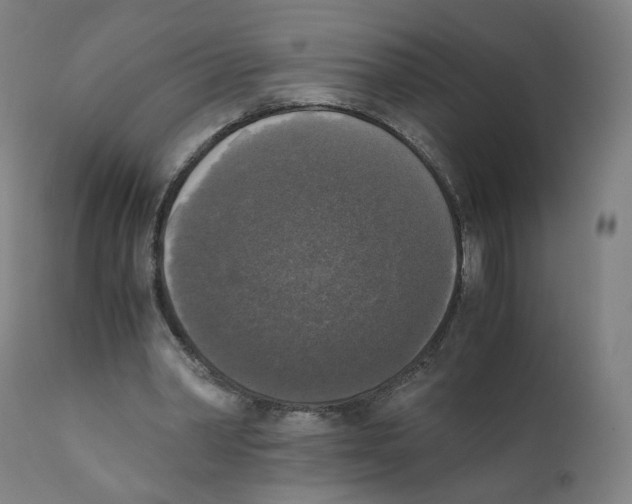 X0000110710390200907101249