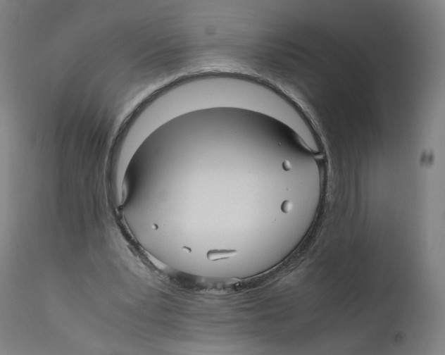 X0000110710391200907101249