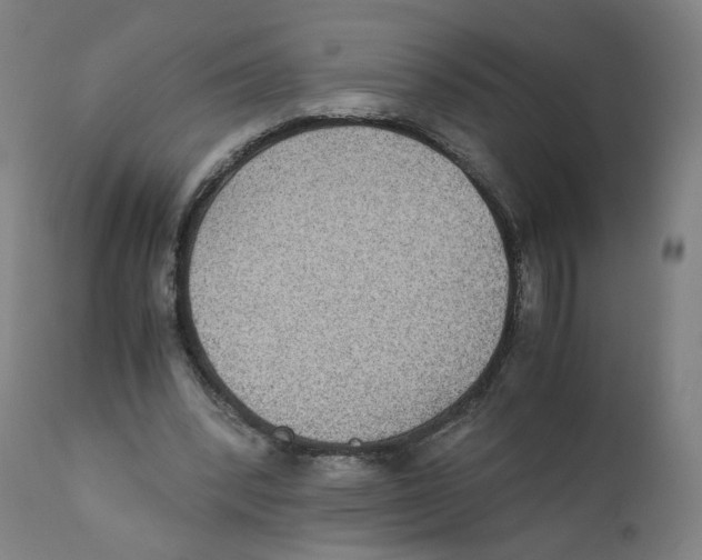 X0000110710392200907101249