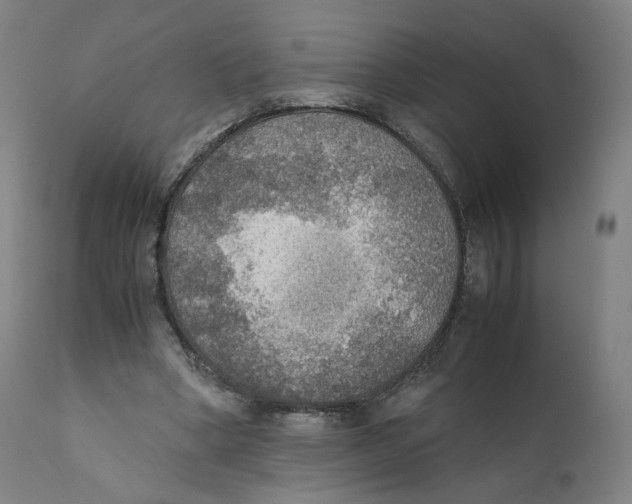 X0000110710394200907101249