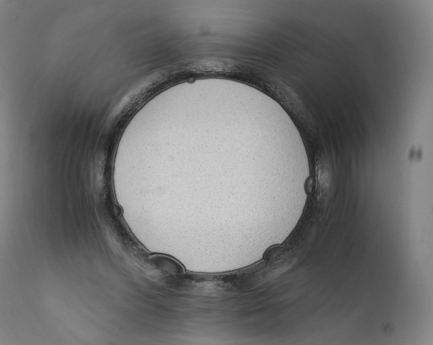 X0000110710396200907101249