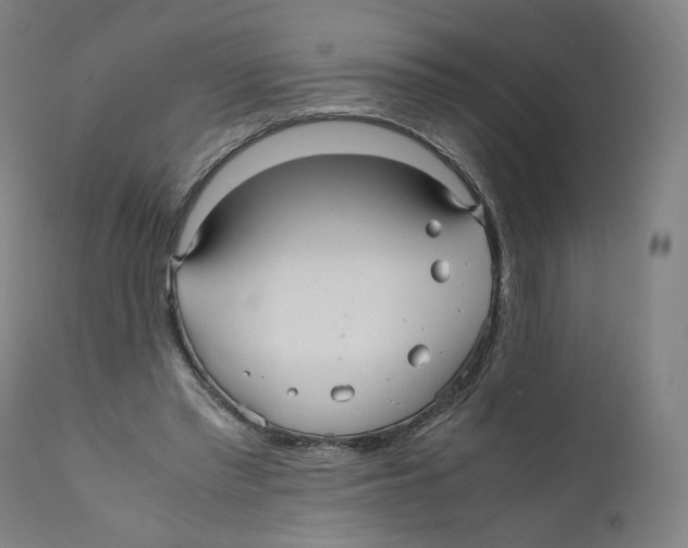 X0000110710397200907101249