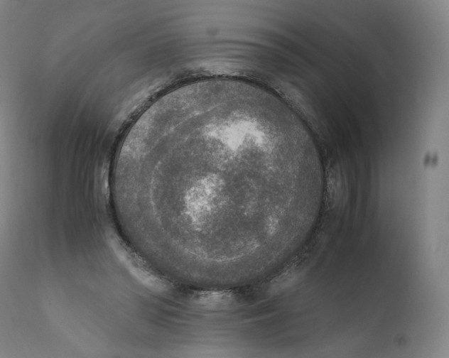 X0000110710398200907101249