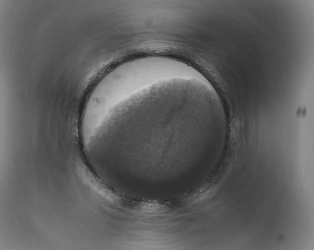 X0000110710399200907101249