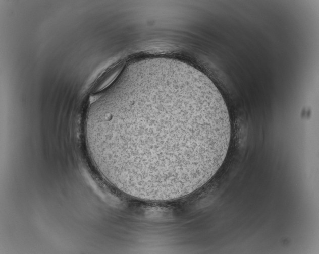X0000110710400200907101249