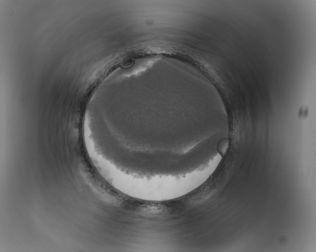 X0000110710402200907101249
