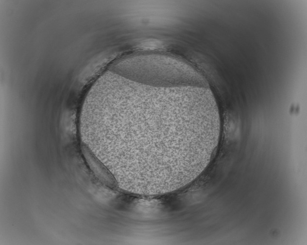 X0000110710403200907101249