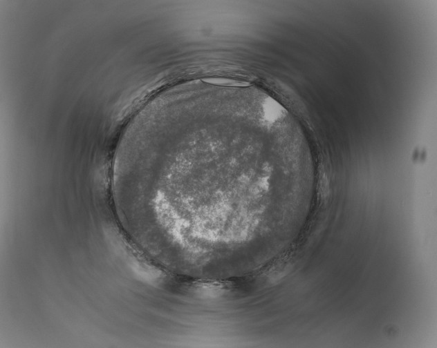 X0000110710405200907101249
