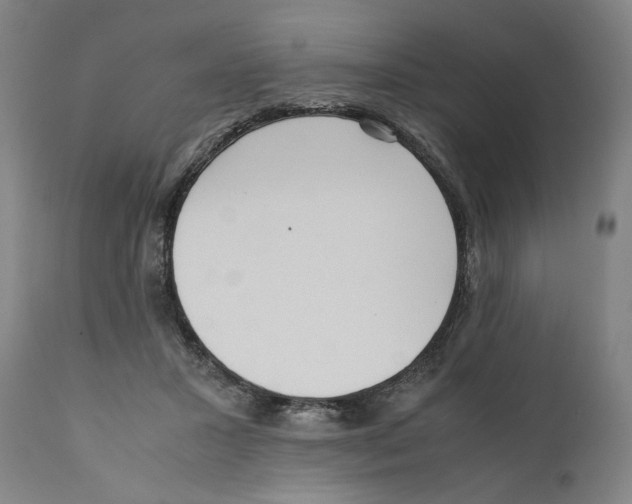 X0000110710407200907101249
