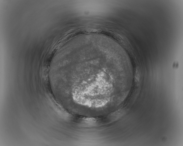 X0000110710409200907101249