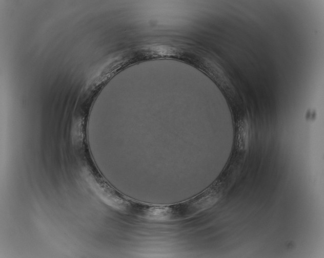 X0000110710410200907101249
