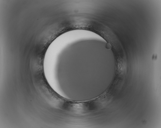 X0000110710411200907101249