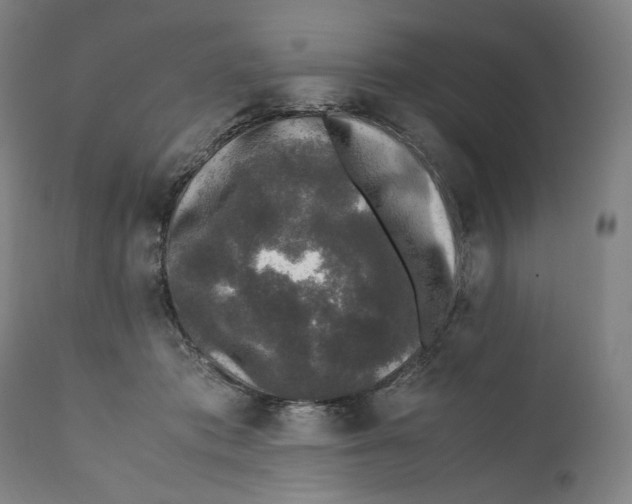 X0000110710413200907101249