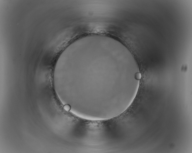 X0000110710415200907101249