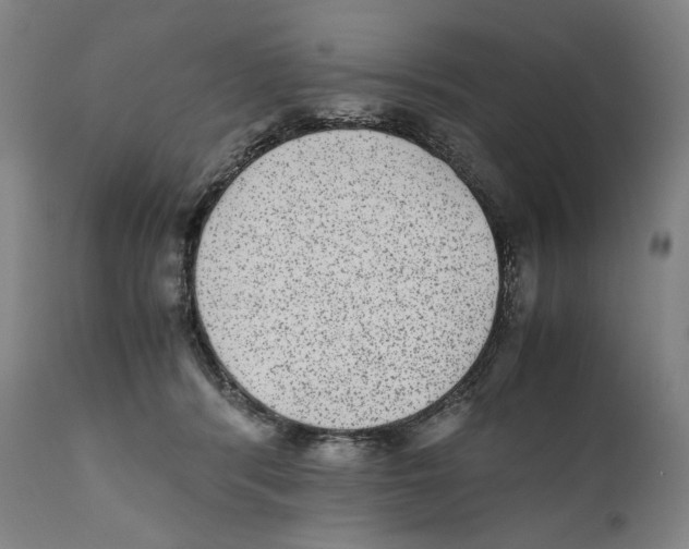 X0000110710416200907101249