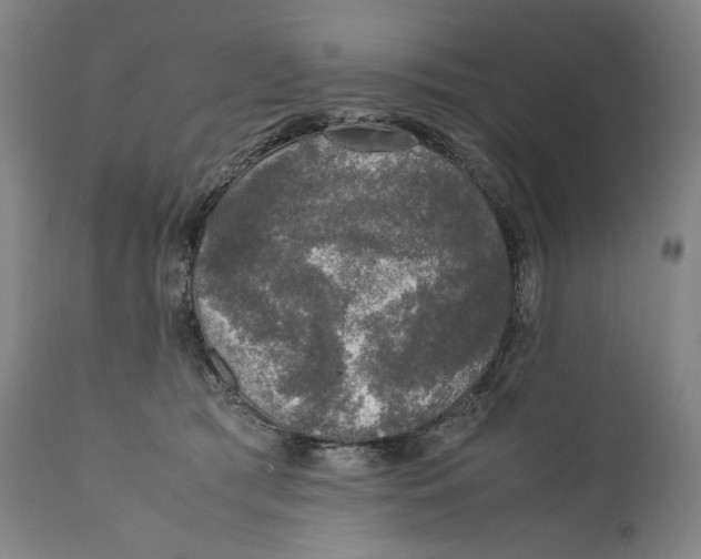 X0000110710417200907101249