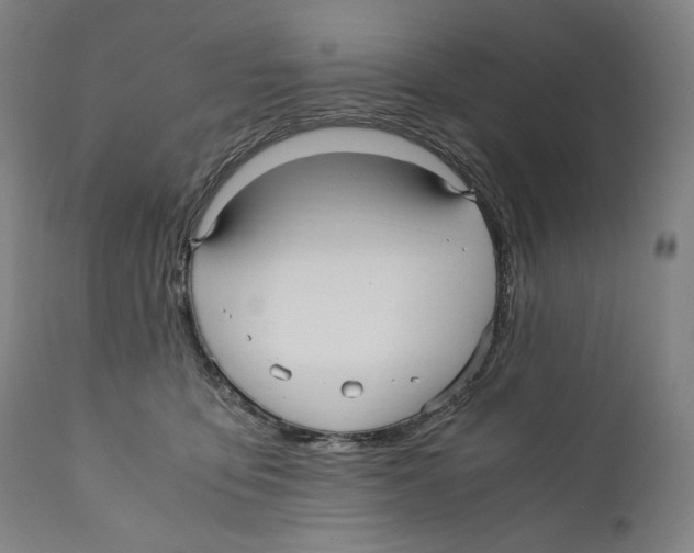 X0000110710419200907101248