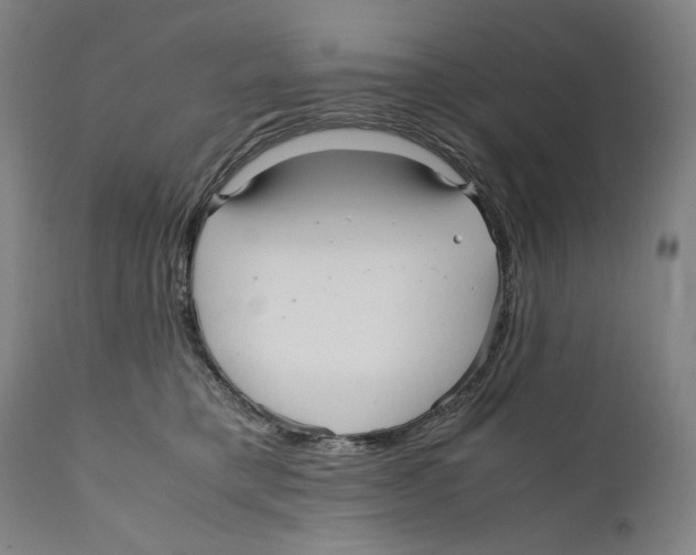 X0000110710421200907101248