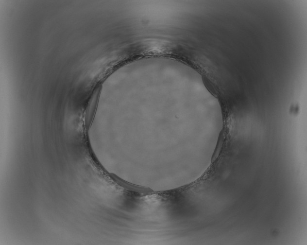 X0000110710423200907101248