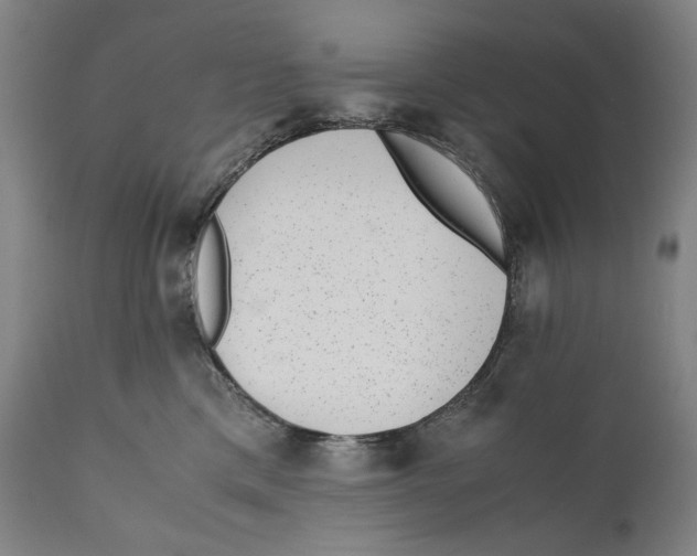 X0000110710425200907101248