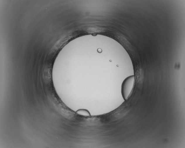 X0000110710426200907101248