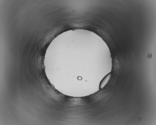 X0000110710428200907101248