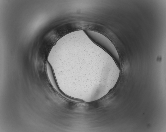 X0000110710429200907101248